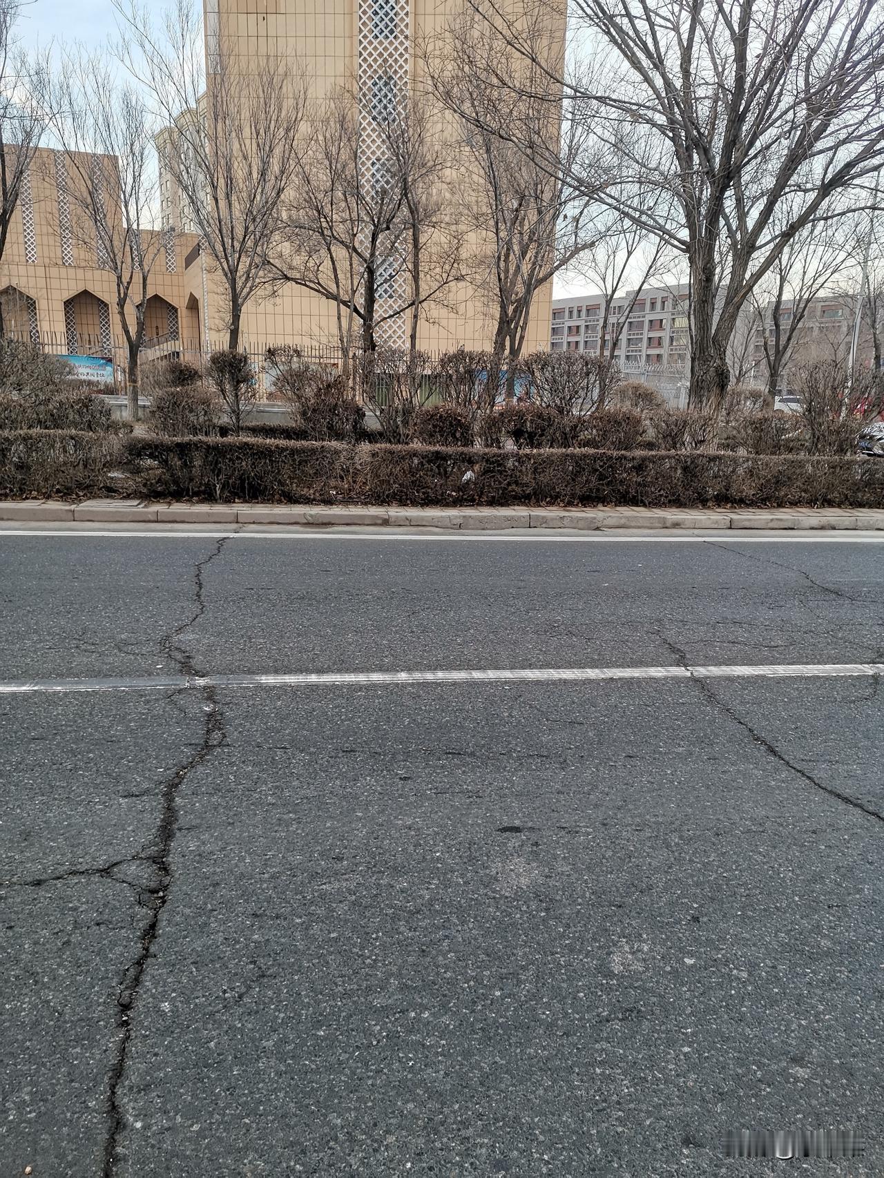 大家可以找出来这里面的亮点吗？