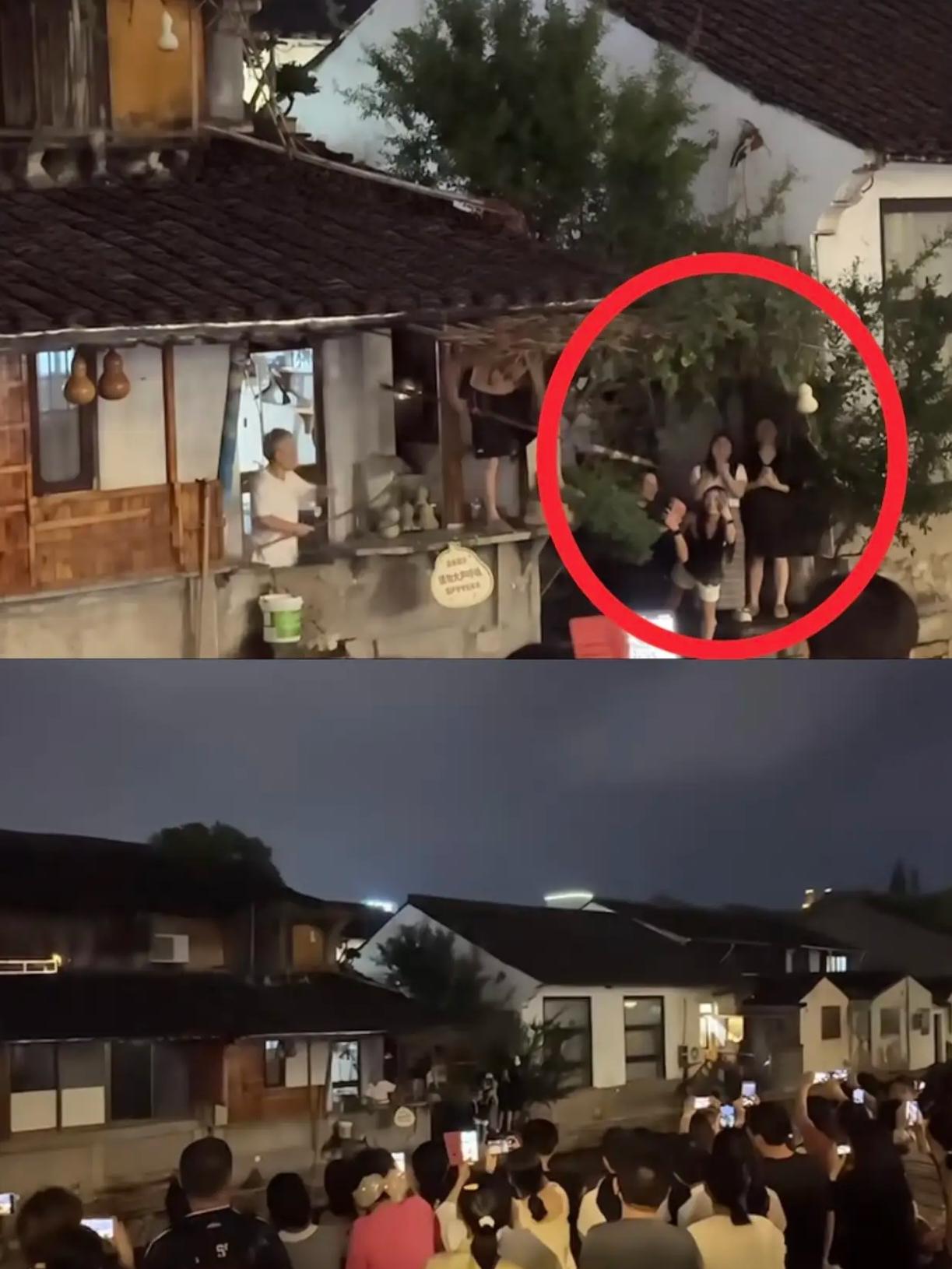 突发！葫芦爷爷提前动手了，“蛇精”们这一次扑了个空。那些亲眼看到葫芦一个个被摘下