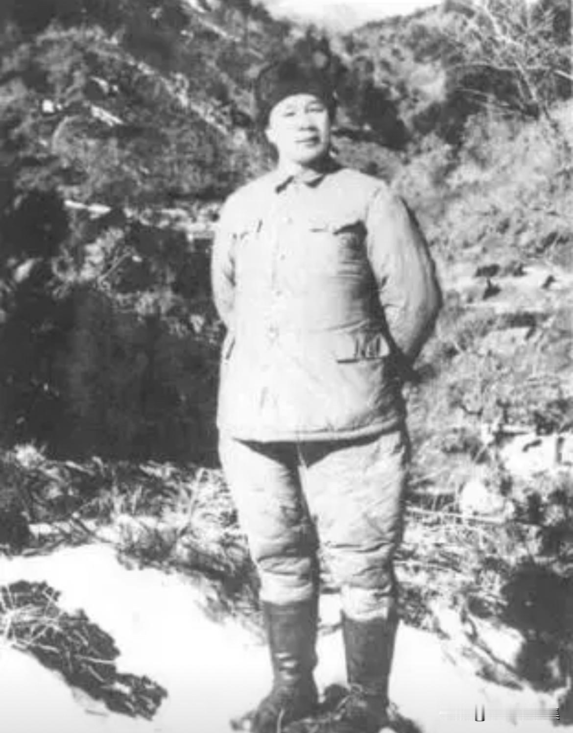 1951年初，杨成武被任命为中国人民志愿军第二十兵团司令员，6月率部入朝参战。他