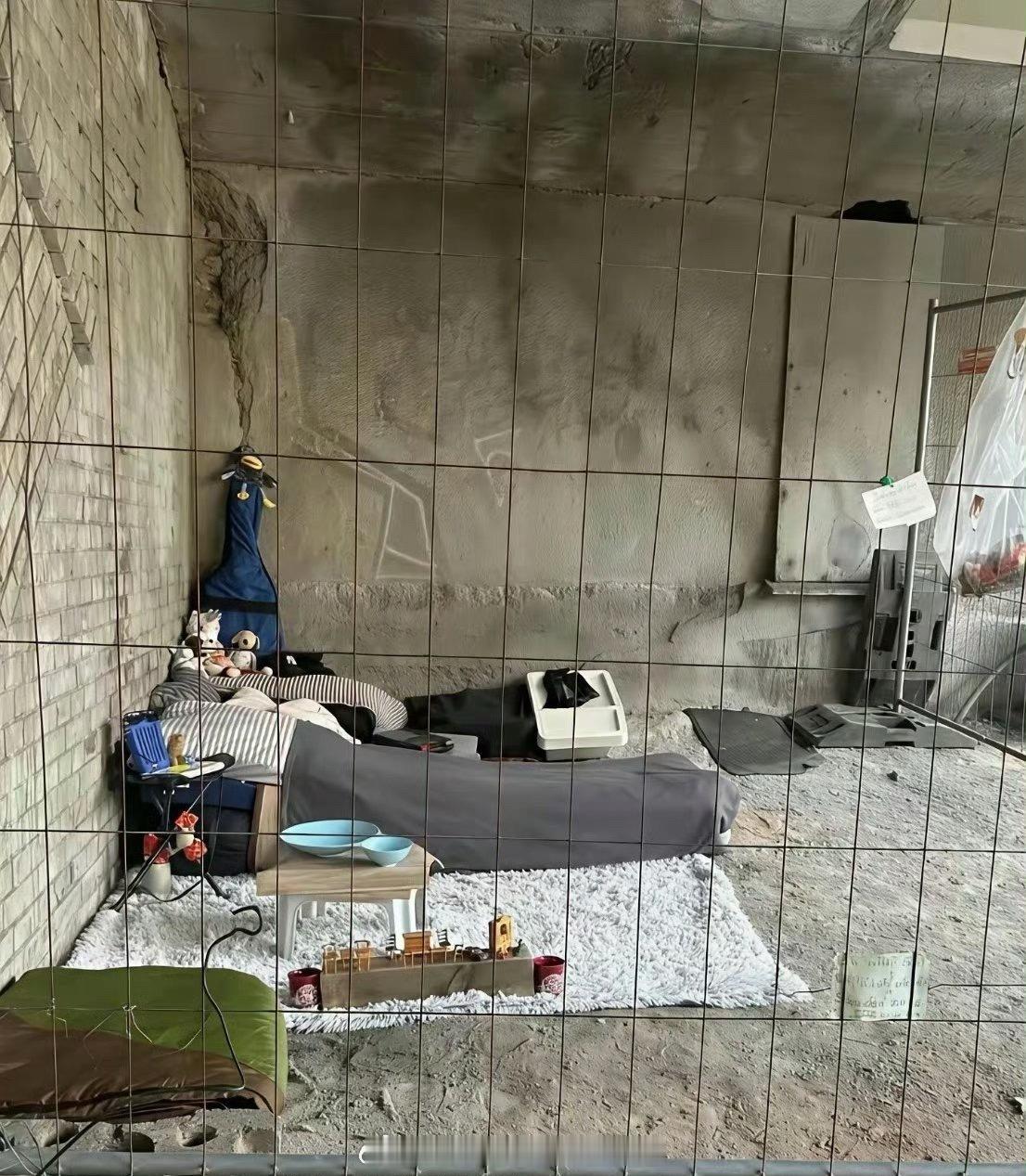 住个桥洞都搞这么精致，想必以前一定是个有钱人吧
