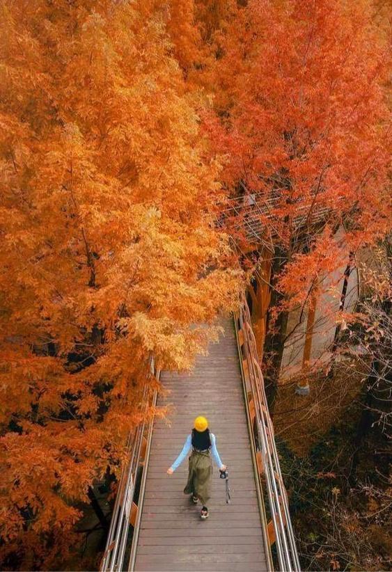 深爱你的男人，在你面前是这样的：   一个冷峻的男人，在外人面前严厉强势、无