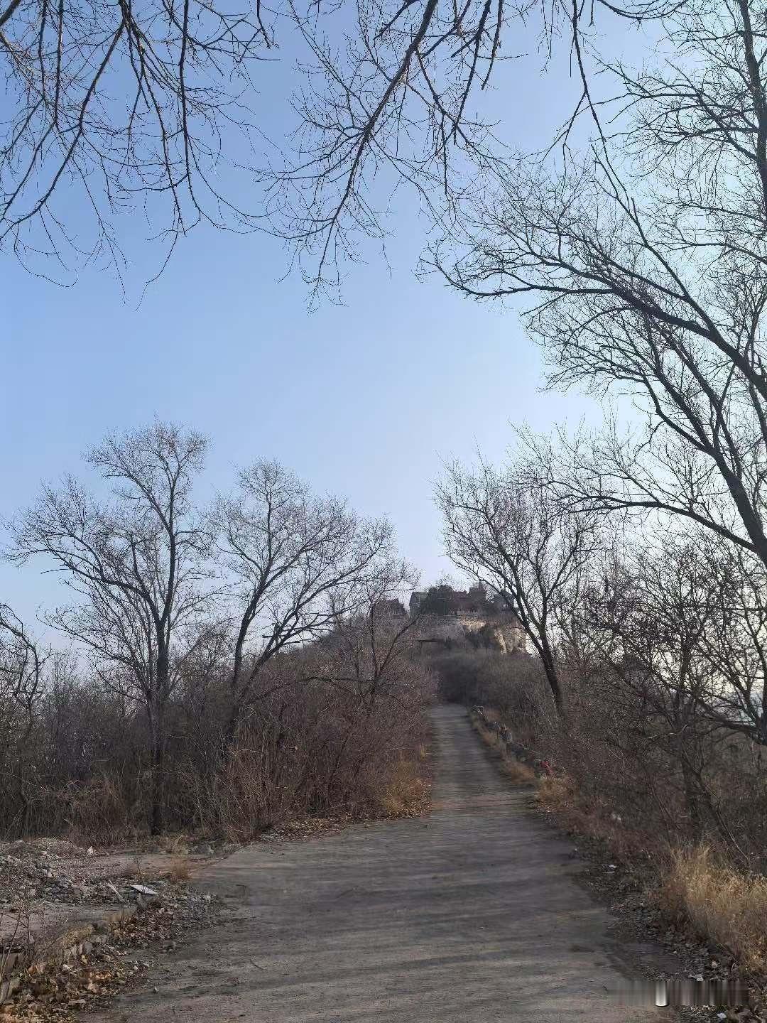 你作为单位中层，招个新人能不能带出来，在1-3个月内就能判断他到底值不值得培养？