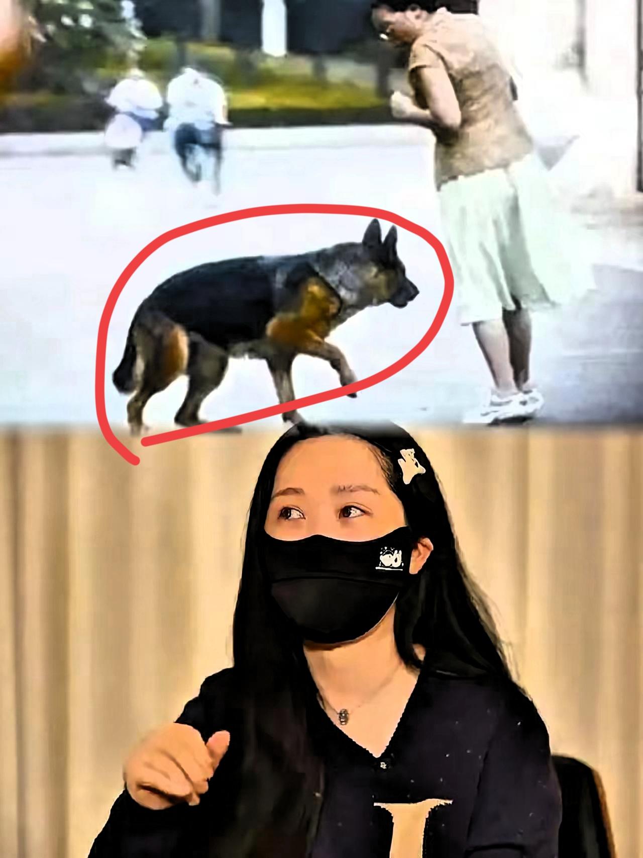 社区养狗引发的争议越来越大了。强烈建议严查李女士的账单！社区养狗吵得不可开交