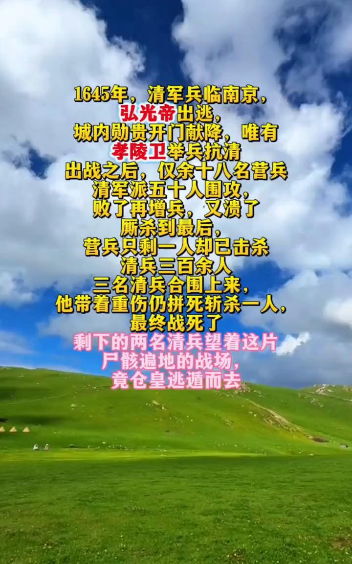 1645年，清军兵临南京，弘光帝出逃。城内勋贵开门献降，唯有孝陵卫举兵抗清。出战