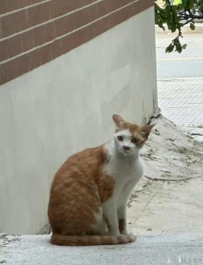 原来脸小也不一定好看对比两张照片，当然右图好看啊哈哈哈哈，触到我笑点了