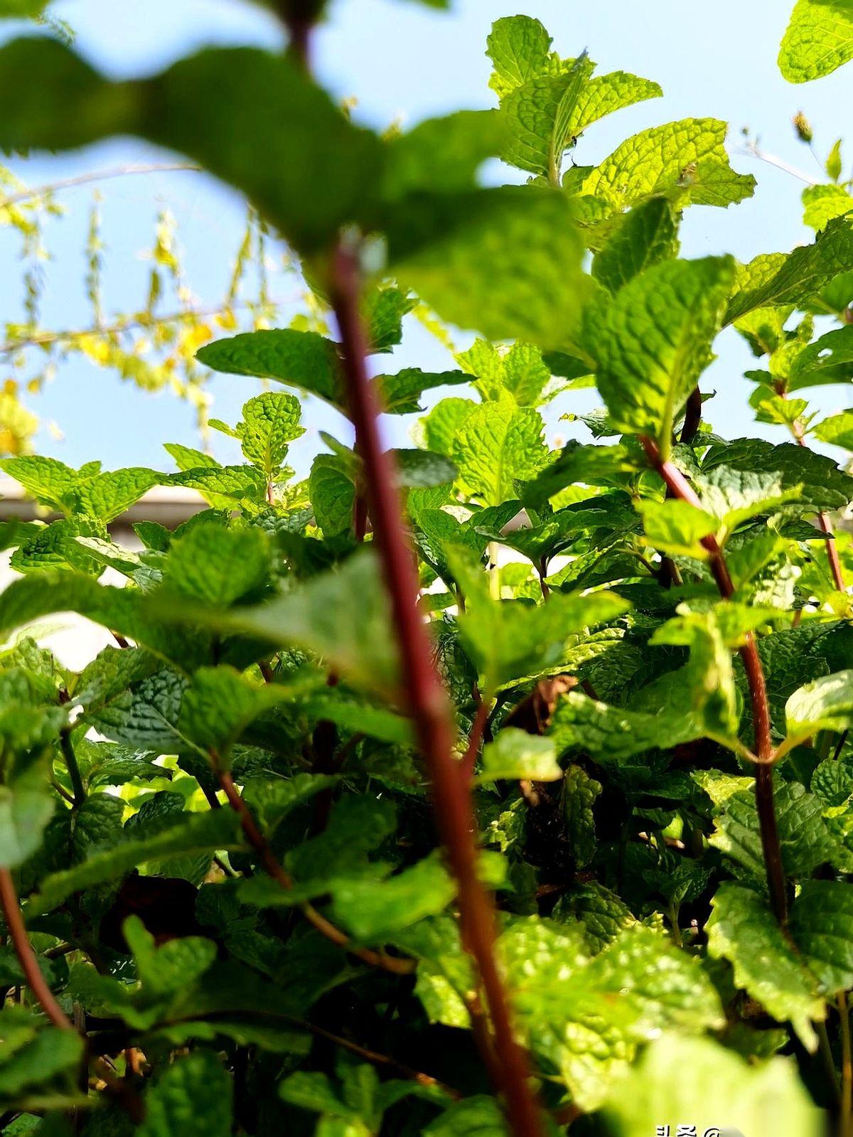 谁再祝我“一帆风顺”，我可能真要跟谁急。说真的，活了这么多年，我发现这四个字才