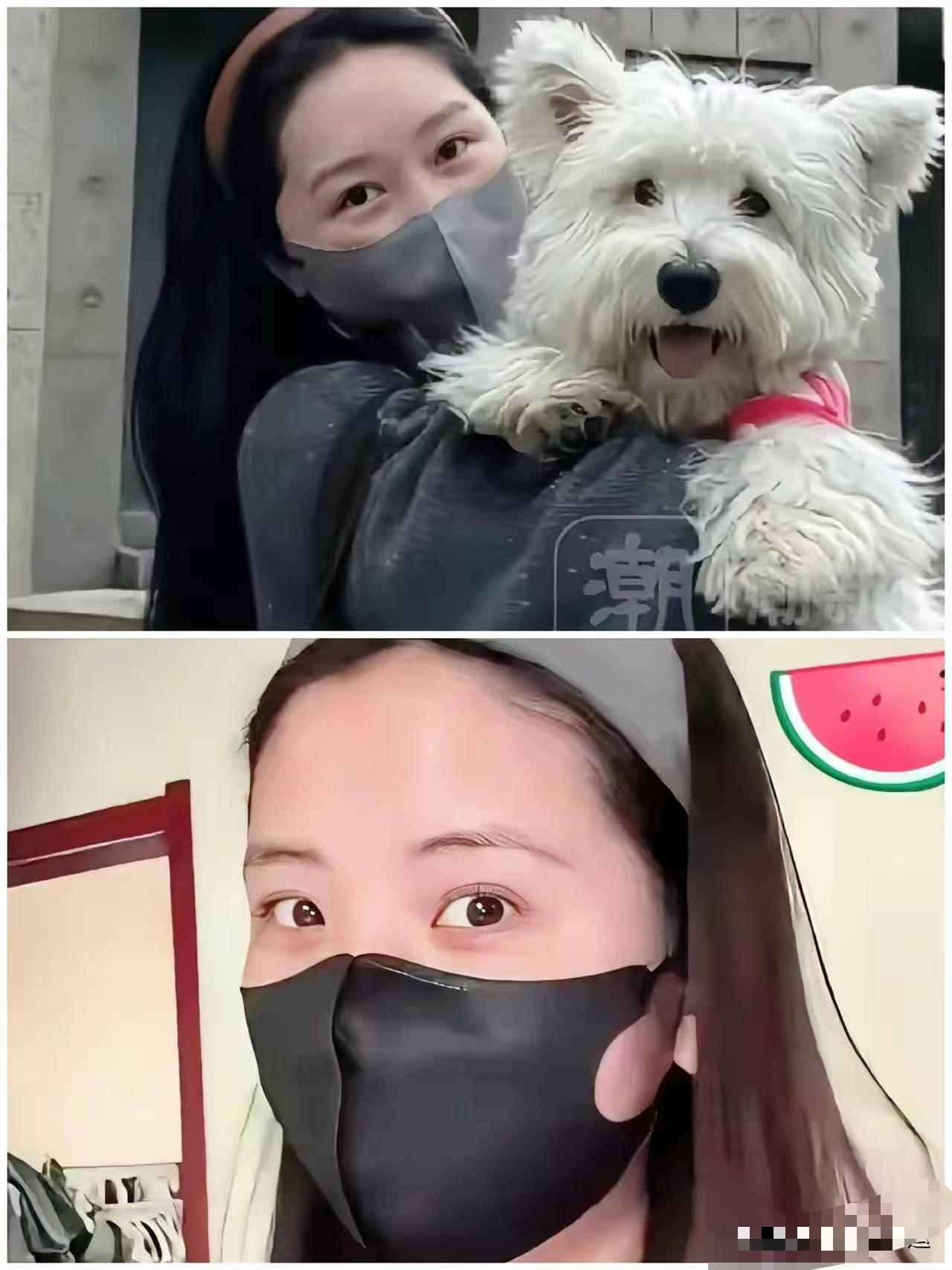 李女士沉默了，就连小区业主都快无语了，这么多年就没见过1个狗主人按照规定要求遛狗