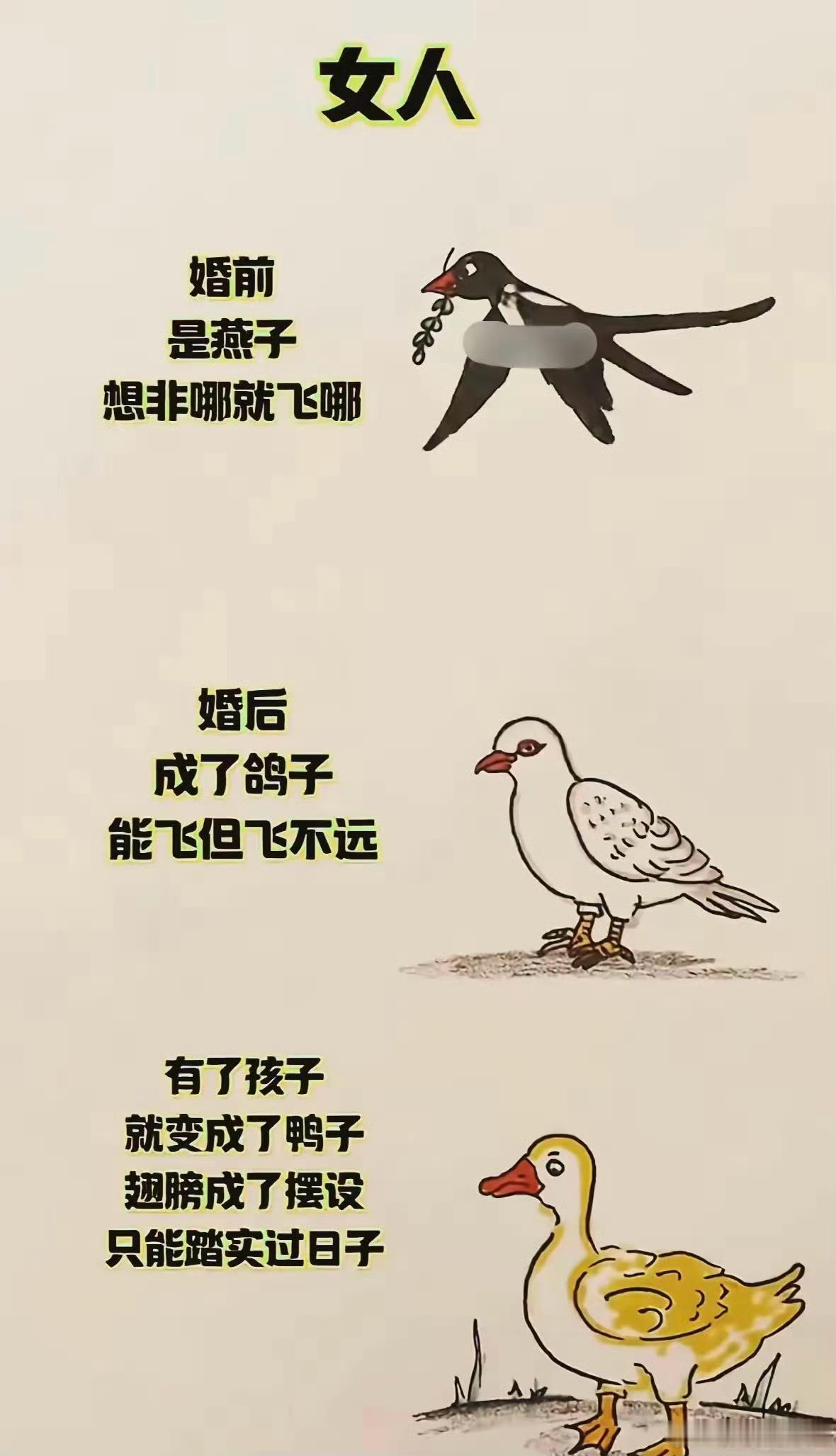 这也太形象了吧！​​​