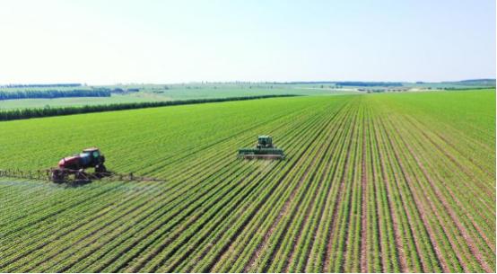 几百亿斤粮食说不要就不要了？数万名官兵和农民辛苦开垦半个世纪，能养活一亿人的中国