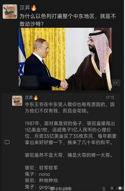 为什么以色列打遍整个中东地区，就是不动沙特？中东骆驼不仅有钱，而且会花钱。
