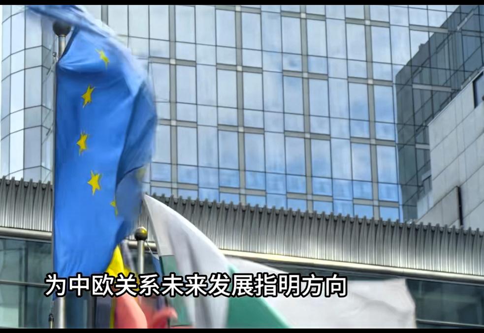 欧盟这次真是不知好歹！在中欧外长会晤上，居然提了一堆无理要求，什么取消稀土管