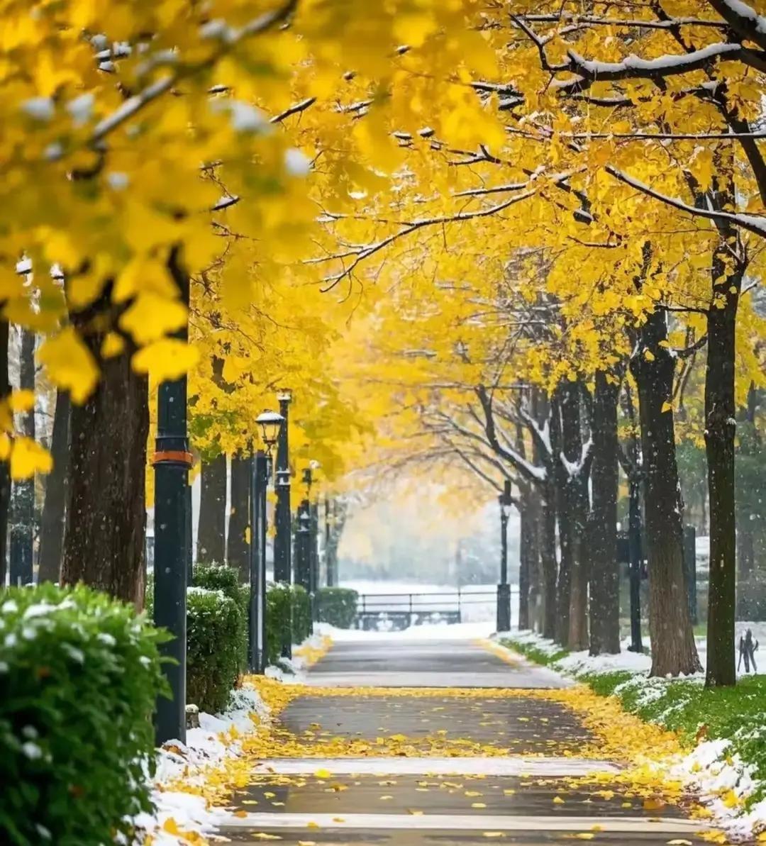 婚外情里最常见的画面，两人一见面就直奔酒店，连饭都懒得吃。不是欲望多猛，是时间