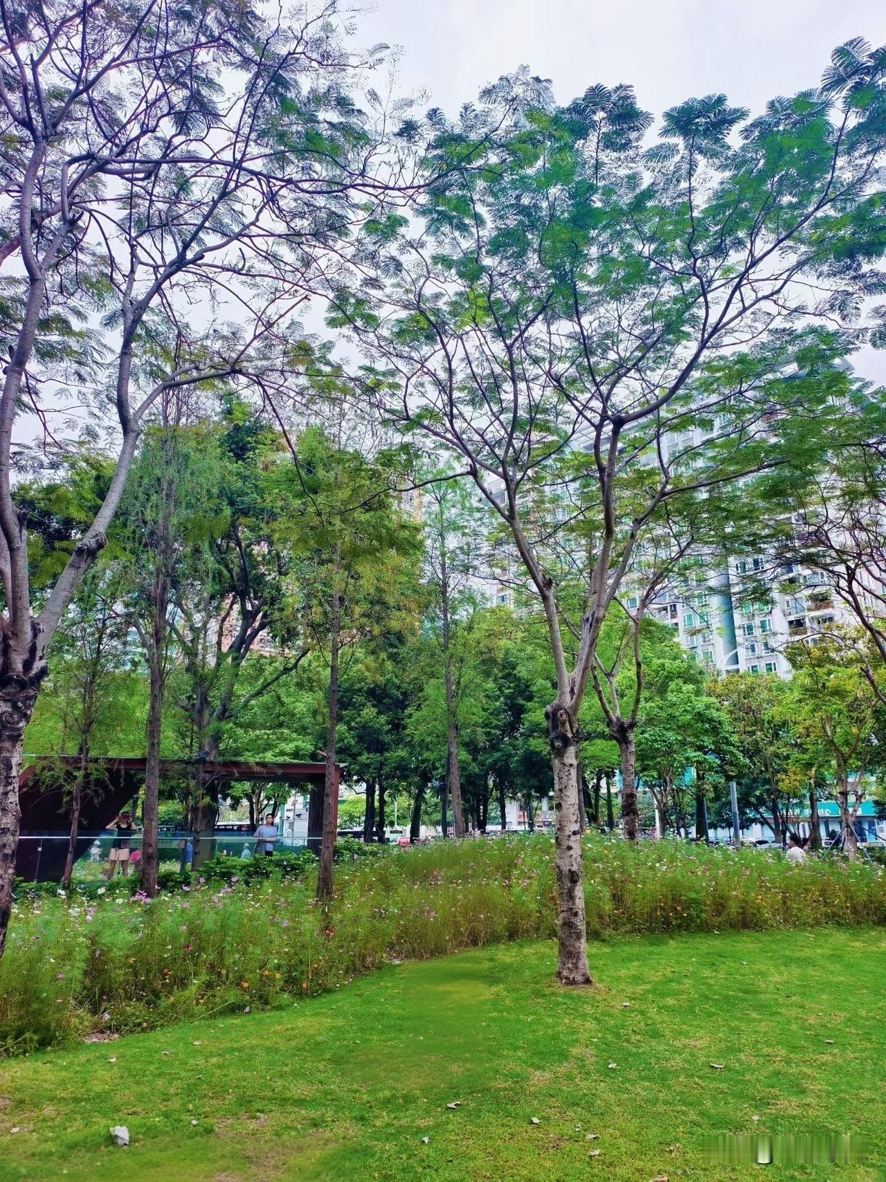 令人醍醐灌顶的一段话：“等你活到一定岁数，你会非常痛苦的发现，其实亲人都不亲。
