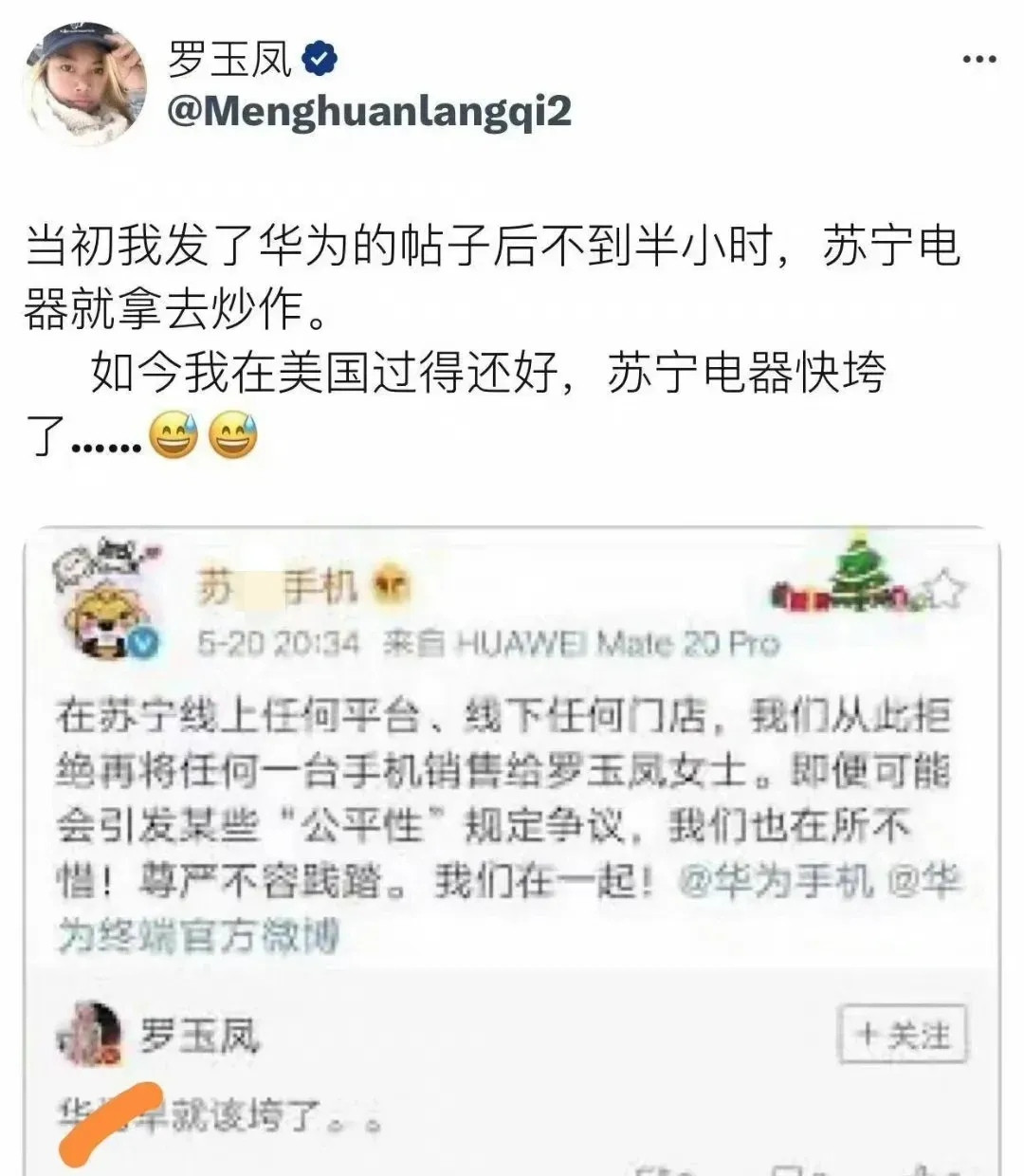 罗玉凤:当年苏宁拿我去炒作，如今我在美国过得还好，苏宁电器快垮了。2019年美