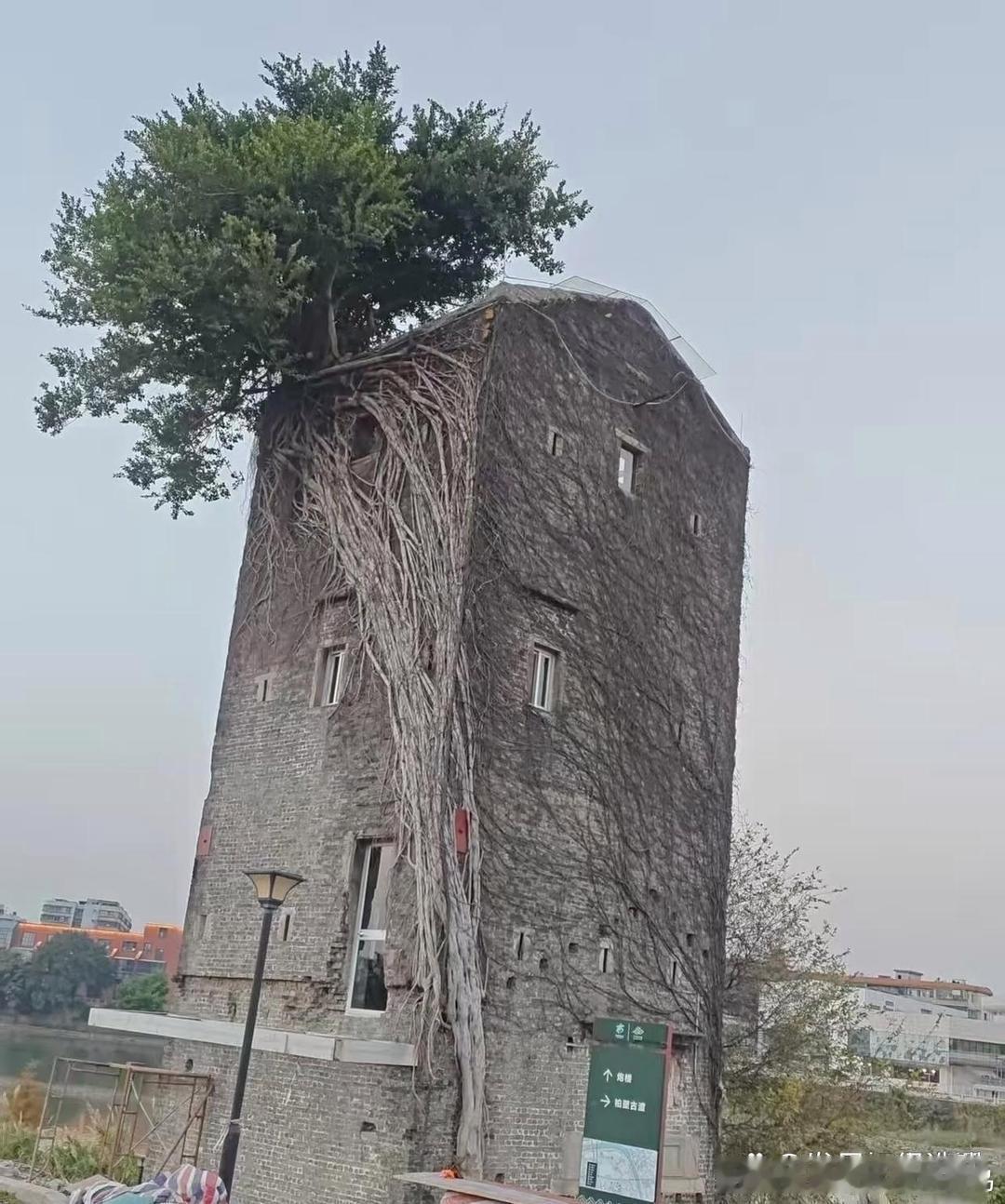 同一地点，相隔一年。​​​
