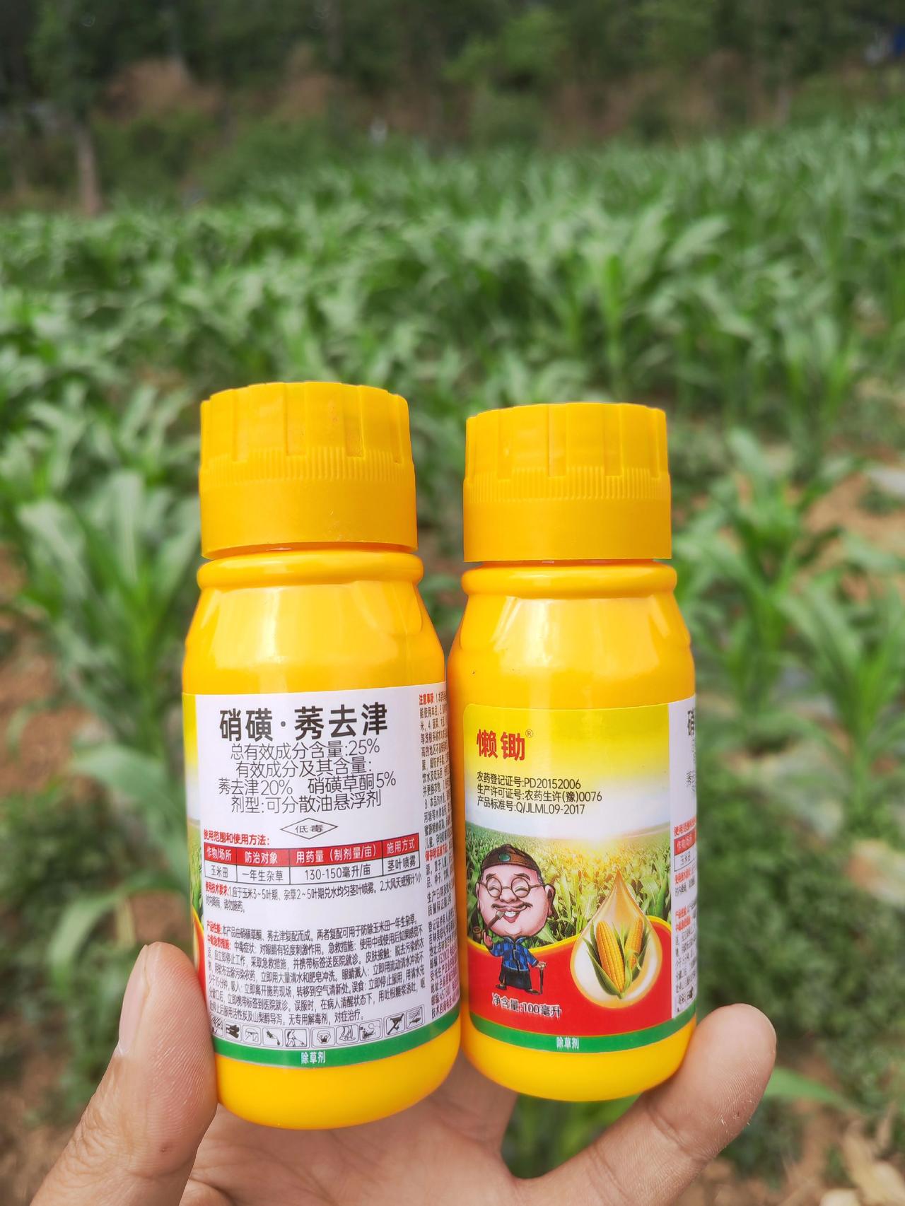 玉米种植三农流量扶持计划玉米苗后专用三农农业种植