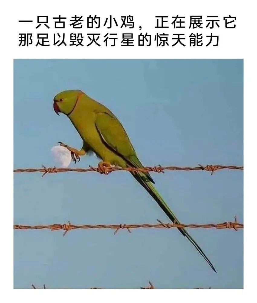 飞行液压钳