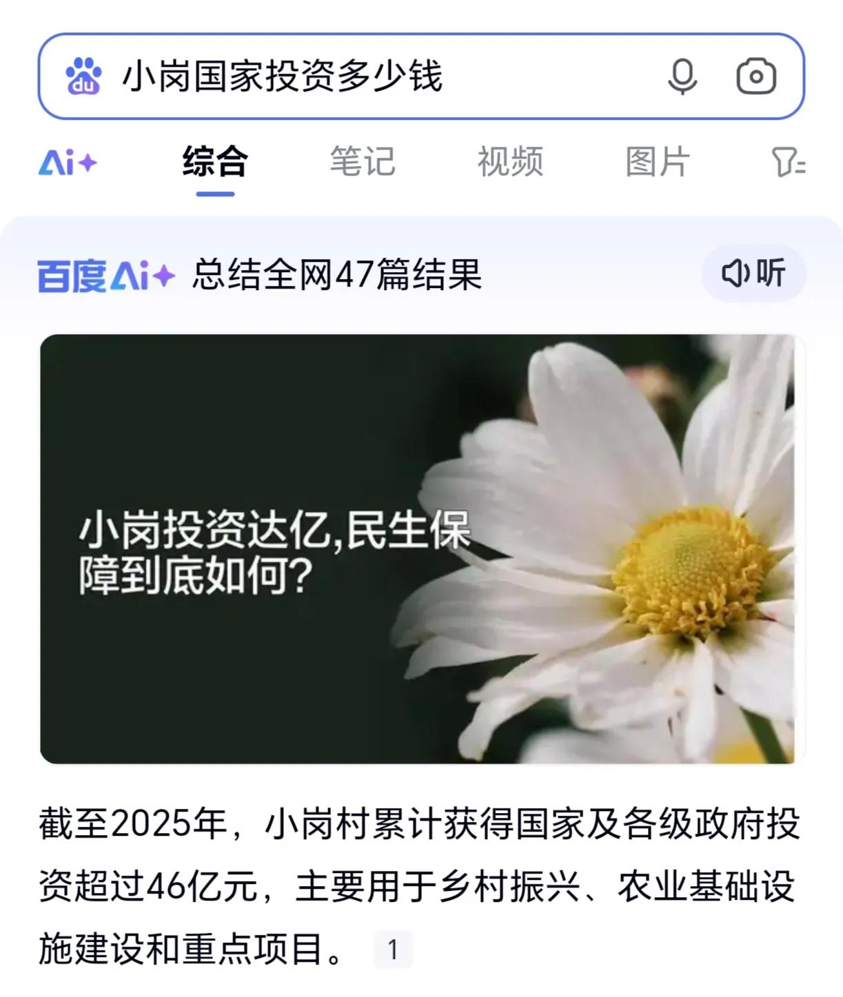 大寨村获得了国家和其他部门投入的资金有多少？根据百度资料显示，截至2025年，安