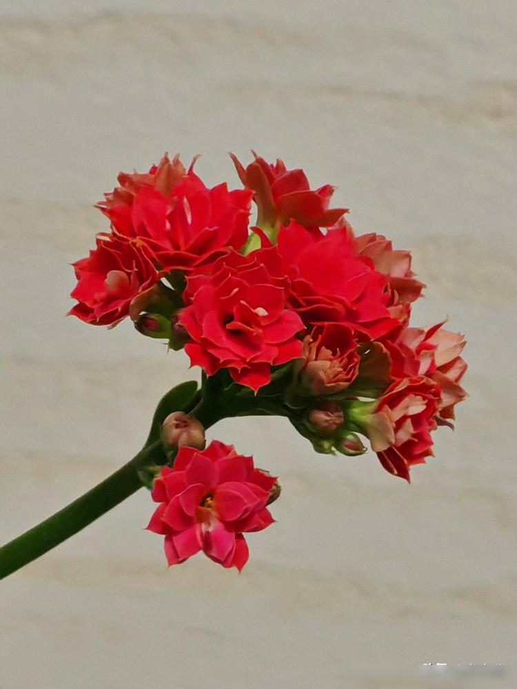 出轨，都是奔着性去的，说是婚外情，那个情字，只是給自己的行为，披上了一件透明的外