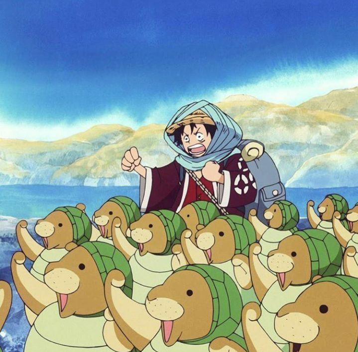 海贼王海贼王师傅跟徒弟都萌萌的