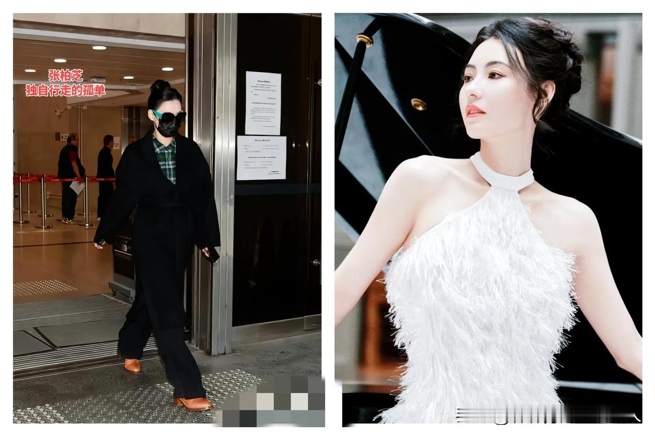 张柏芝遭起诉，谢霆锋全程沉默！18岁谢振轩怒砸手机：我立刻回国护妈！谢振轩