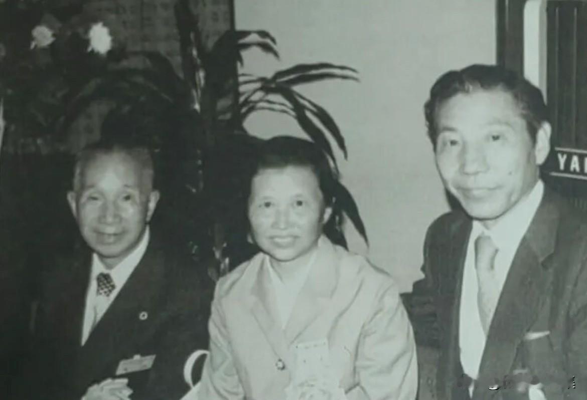 1979年5月至6月，72岁的粟裕大将以“中日友好之船”访日代表团最高顾问