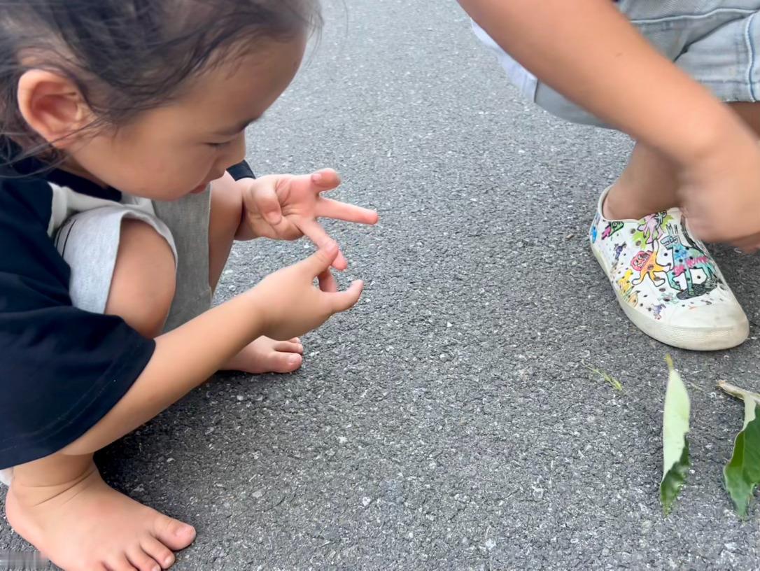 人类幼崽正在驯服自己的手指不认识葫芦的宝宝认不认识这个啊～是刺猬海吉力🦔啊哈哈