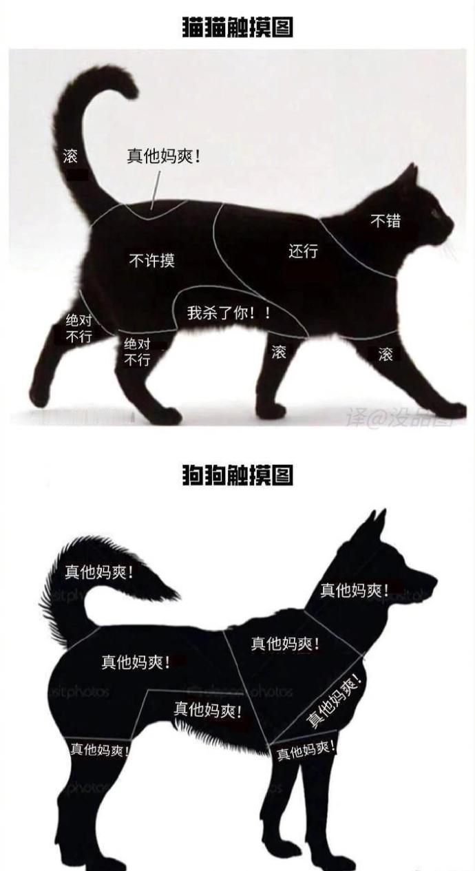 一些好笑的梗图哈哈哈哈哈哈哈🤣​​​