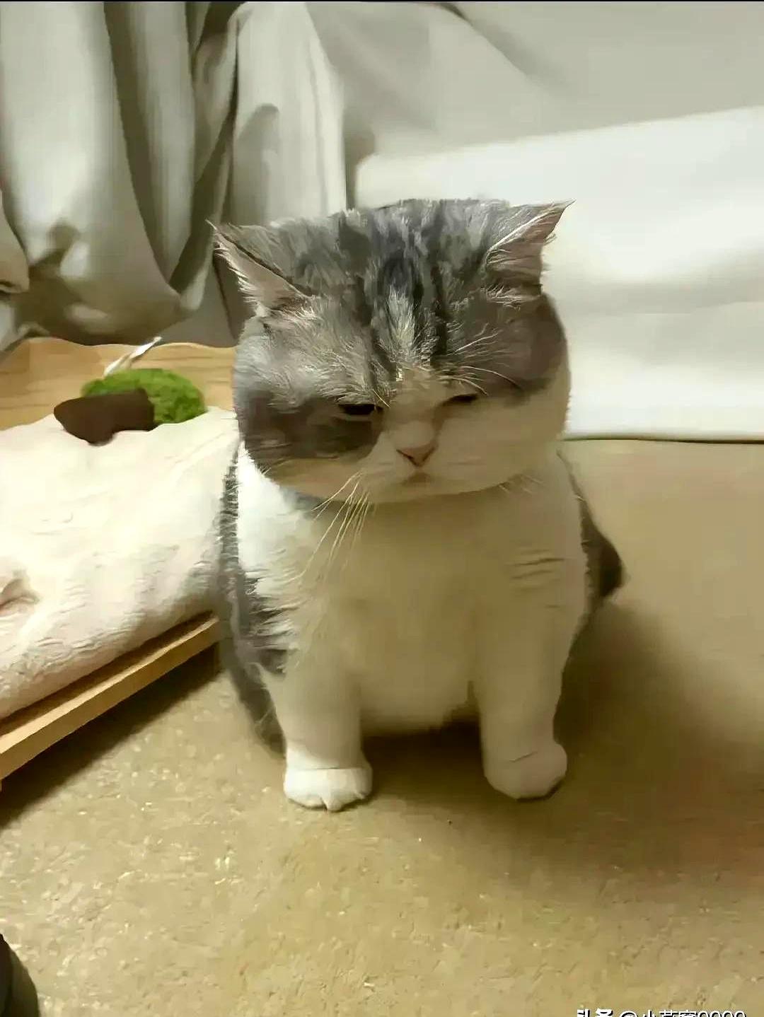 发现没？好多男人在家里跟老婆没话讲，到了外头倒是有说不完的“心里话”。说实话