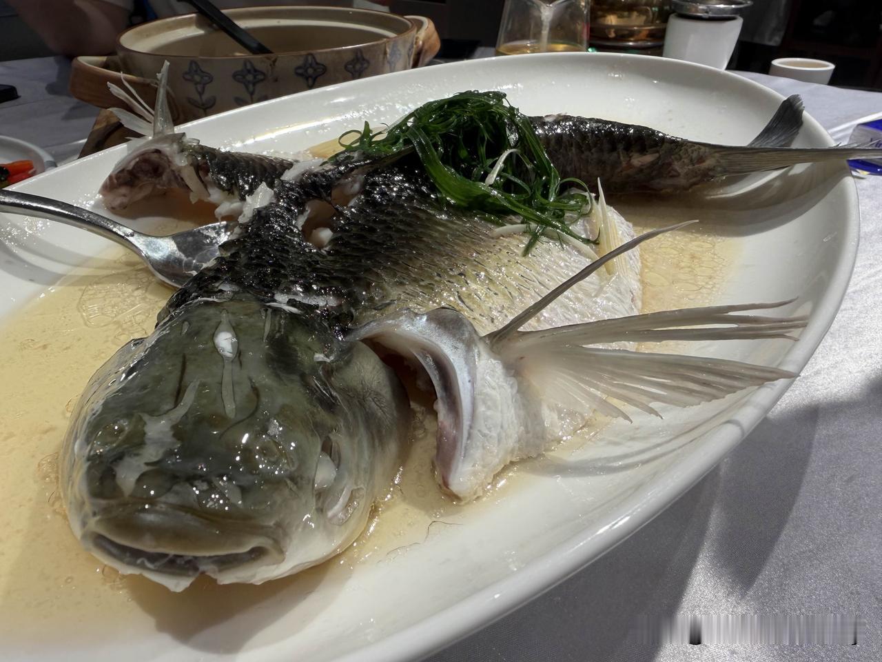 广州妥妥的老嘢饭，返叮N次了，还是会有惊喜。本来以为C位就是油盐山坑鲩，但就连葱