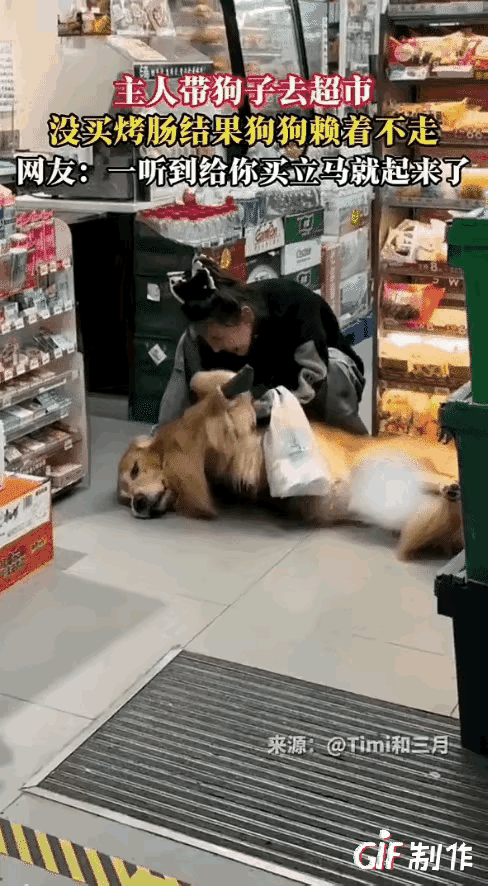 “简直成精了！”一女子带着狗狗去超市买东西，狗狗一开始可开心了，跟着主人屁股后头