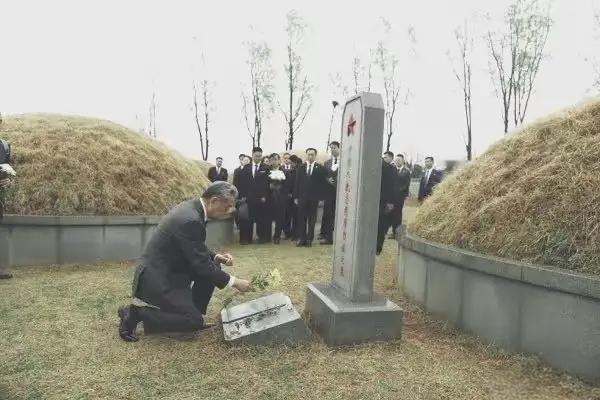 感动于72岁的王毅外长单膝跪地给志愿军先烈们献花，更感动于大家都打伞行礼，而唯独