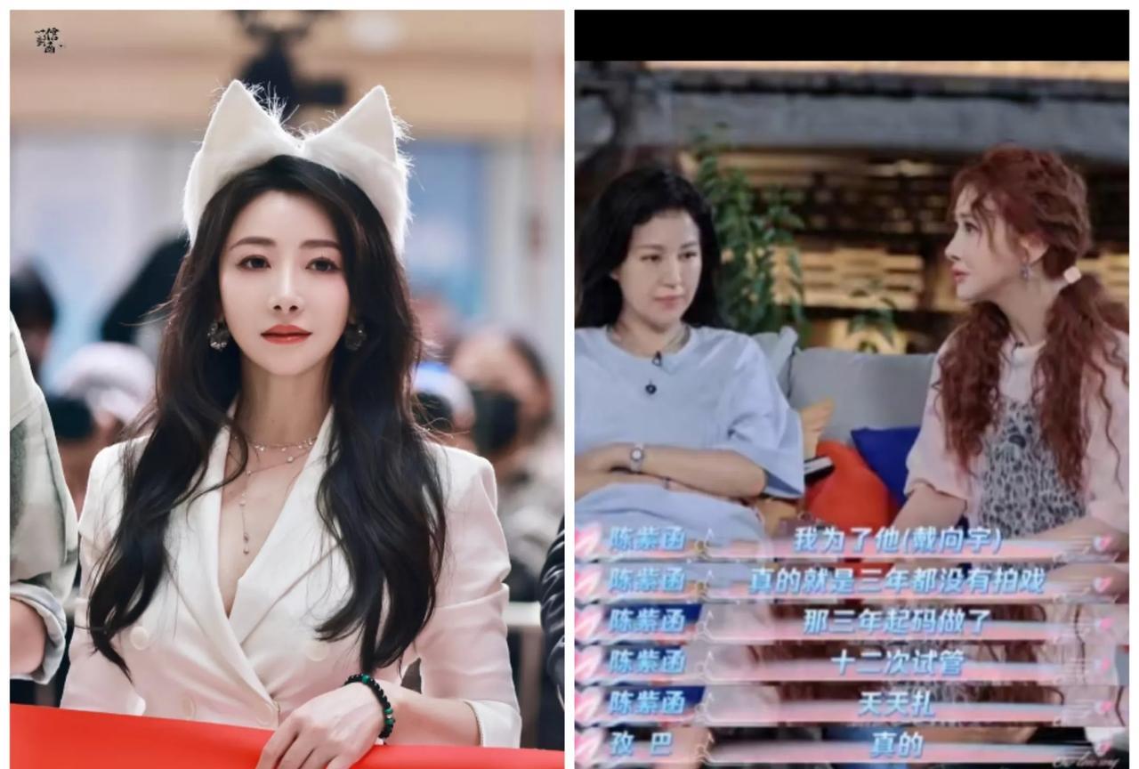 陈紫函有个习惯，不知道大家发现没有，几乎在其他女明星身上很少见，那就是她对
