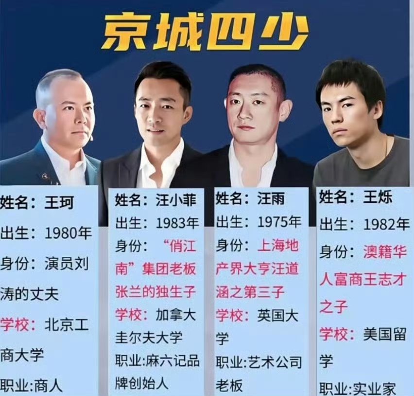 汪雨回应京城四少称号汪雨说自己非娱乐人事，只想低调的过好生活，自己也经常做公益，