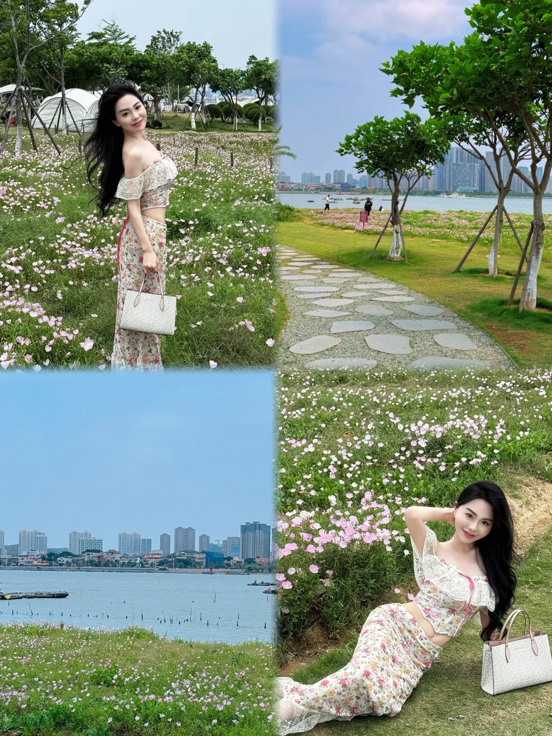 在泉州遇见粉色花海