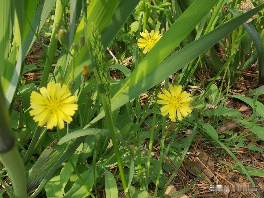 视频里有个儿媳妇提出一个扎心的问题：如果婆婆跟儿媳妇发生冲突后，长时间不联系，