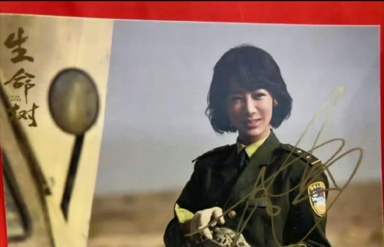 感觉她不是杨紫了，成了角色本身