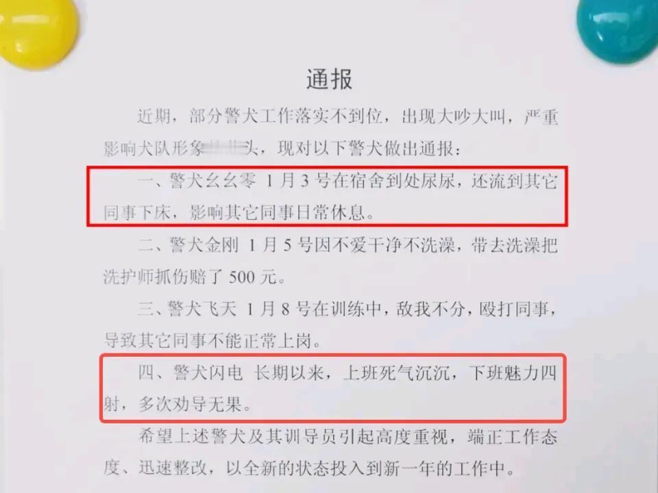 小狗狗不喜欢上班有什么错”网友纷纷调侃！