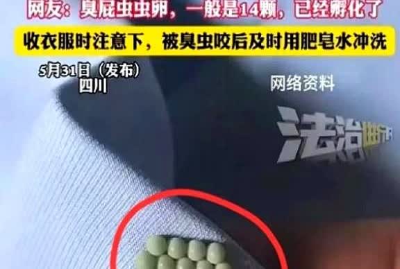 “太恶心了！”5月31日四川，一女子起床穿内衣，结果，却总感觉扣不舒服，她将内衣