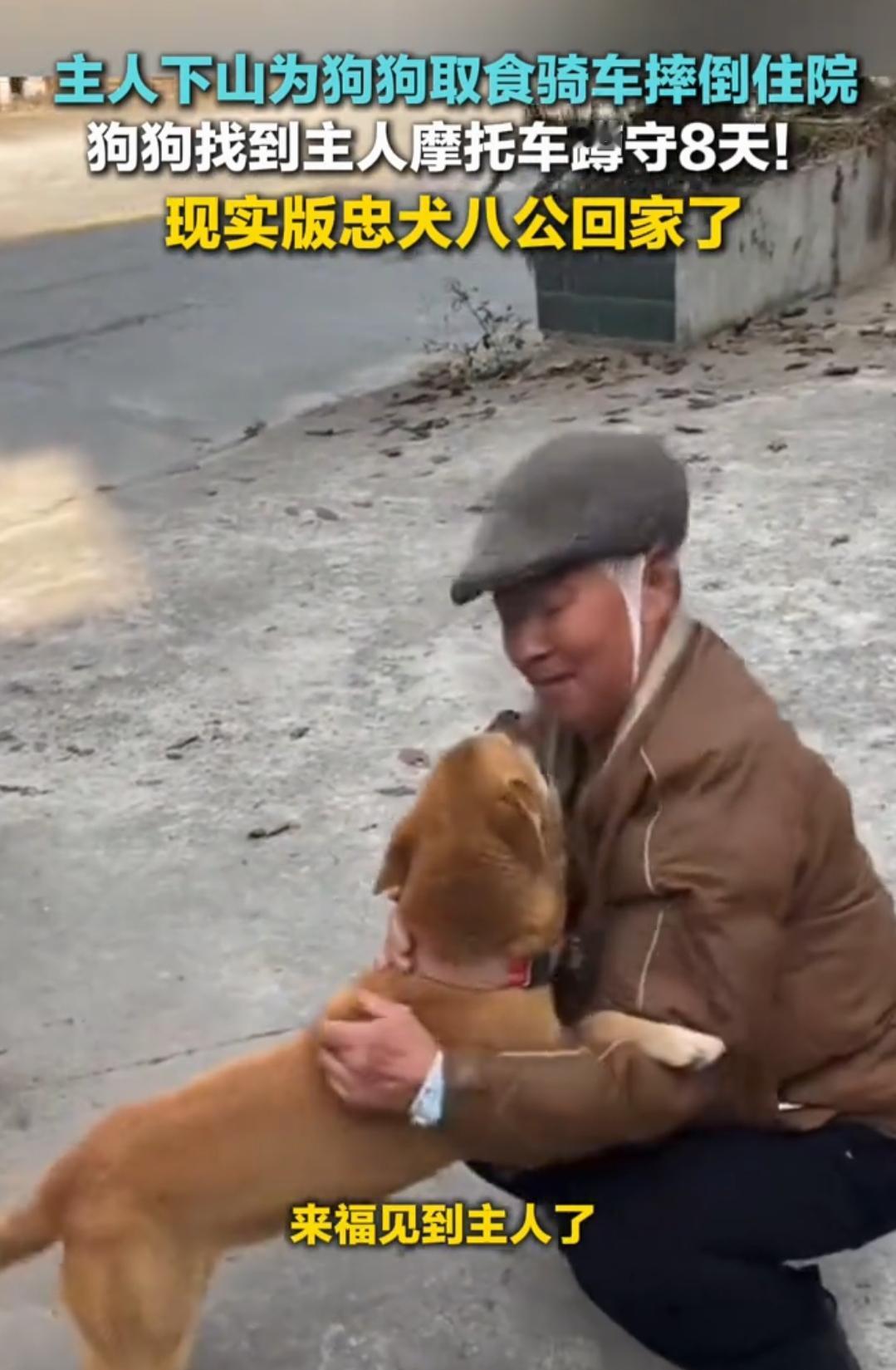 泪目！主人住院，忠犬蹲守摩托车旁8天不肯离去“它好像知道，主人就是骑着这辆