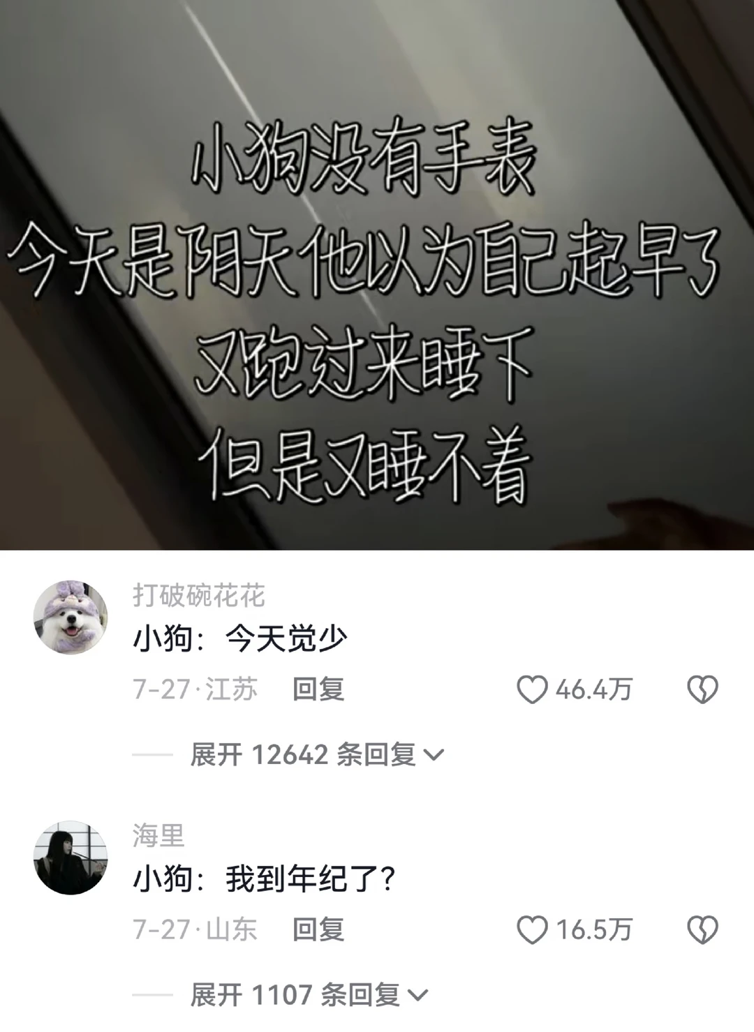 小狗不懂阴天 只知道天还没亮