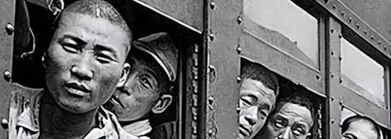 1945年，日军被苏联红军被押往了寒冷的西伯利亚。后来，活下来的日军战俘哭着回忆