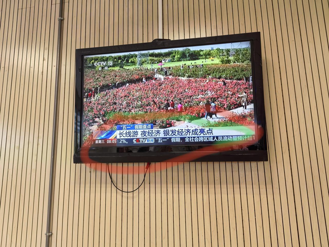 这个“五一”，我们终于读懂了什么叫“认真生活”电视里传来“五一”假期盘点：长