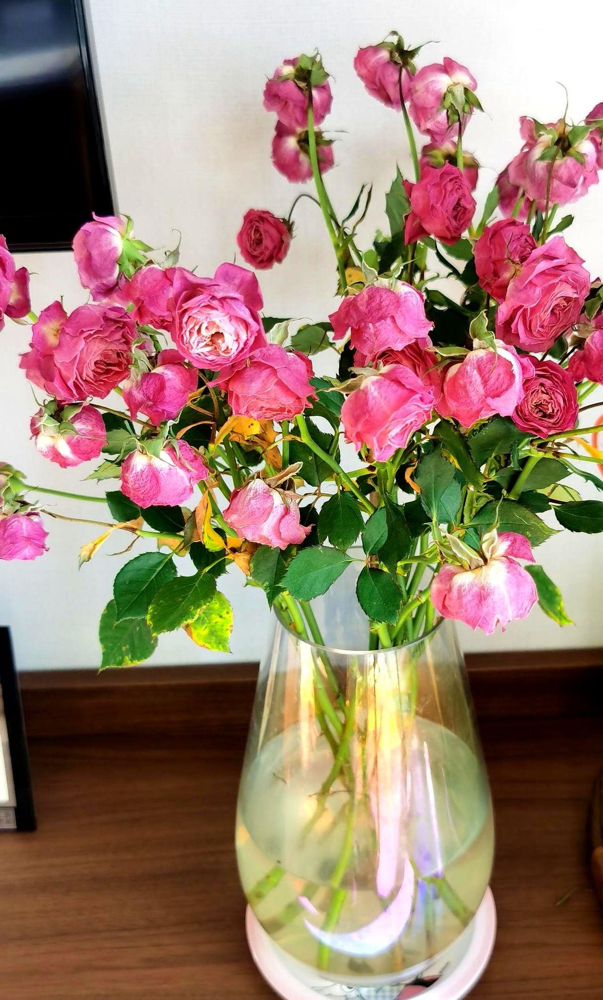 昨晚某中学家长会现场上演现实版“第一排战争”，前排家长嫌坐不下直接拉桌子往后蹭，