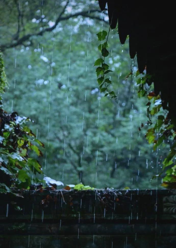 2026年慈溪雨景写真摄影：如何拍出高级感雨景？一场雨，往往能改变一座城市的