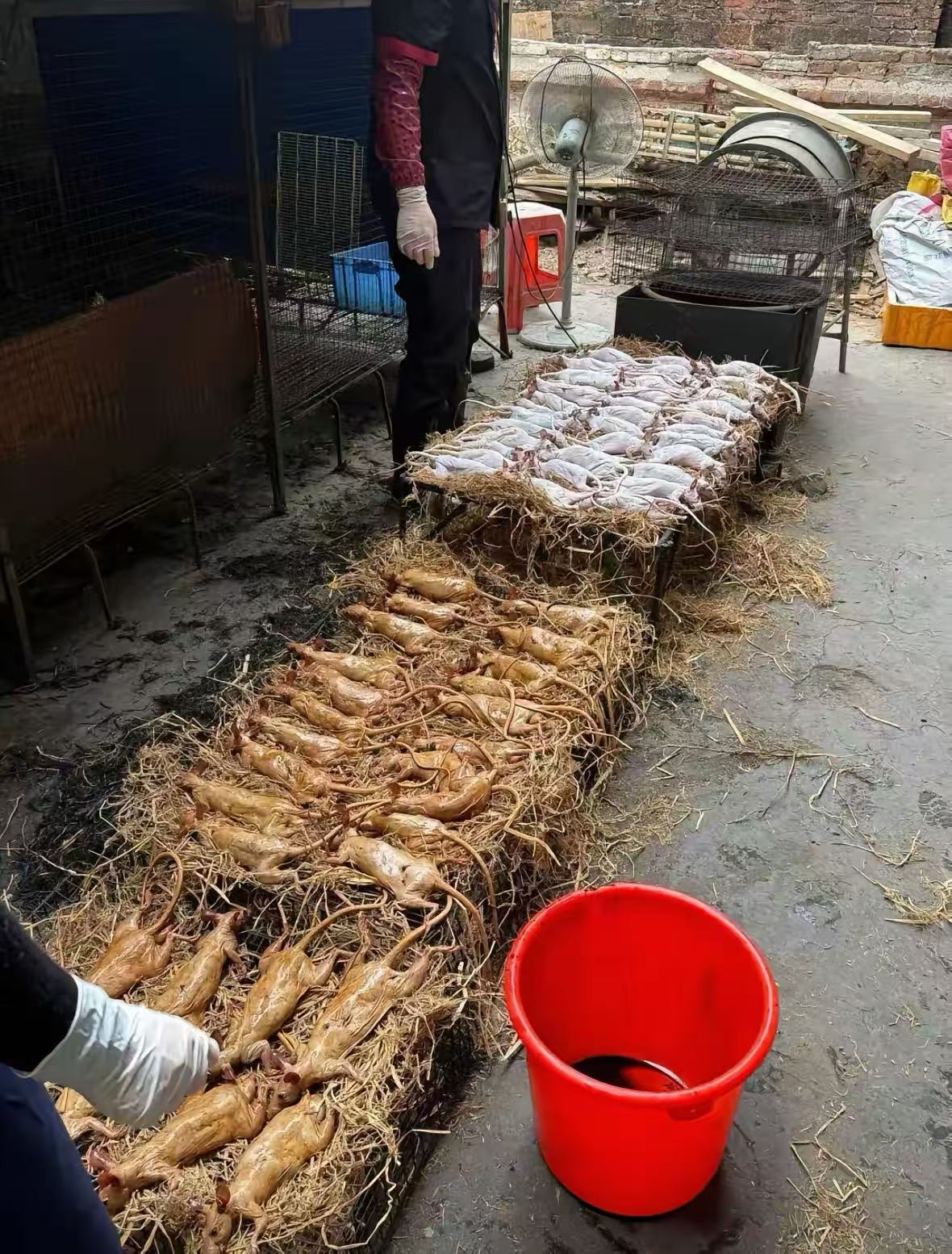 这是哪个地方的特色呢？