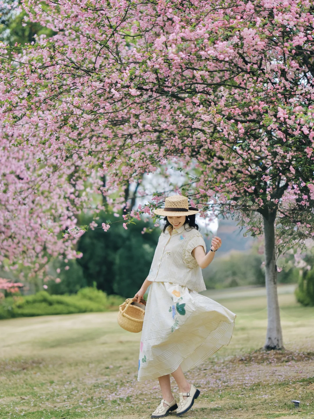这就是我等候了半个春天的海棠花瀑！