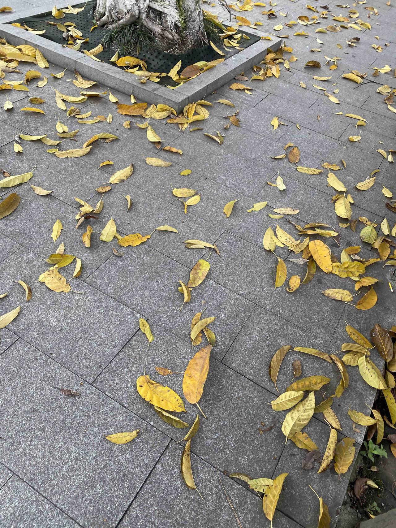 告诉你一个真相！人可以不挣钱，也可以无知，更可以不学习，但一定要有存钱意识！