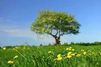 五十岁后才懂：最奢侈的活法，竟藏在“孤独”里人到五十，半生风雨半生晴。走过