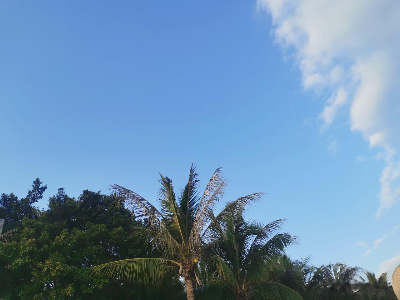 又换领导了！欢送会上，老领导说：我*年*月*日来咱单位工作，到今天整整